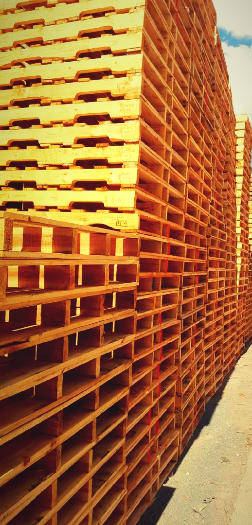 Home - AAA Pallets Brisbane